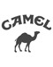 Logo Camel